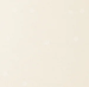 新鳥の子「空（Sora）」