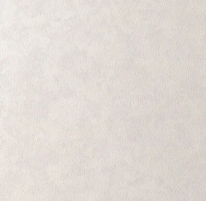 新鳥の子「空（Sora）」