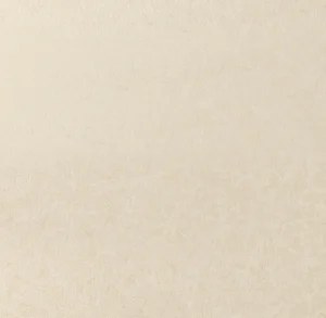 新鳥の子「空（Sora）」