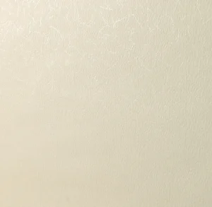 新鳥の子「空（Sora）」