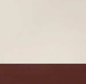 新鳥の子「空（Sora）」