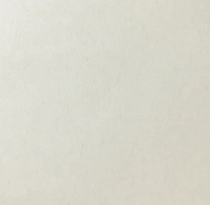 新鳥の子「空（Sora）」