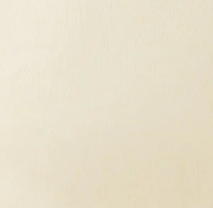 新鳥の子「空（Sora）」